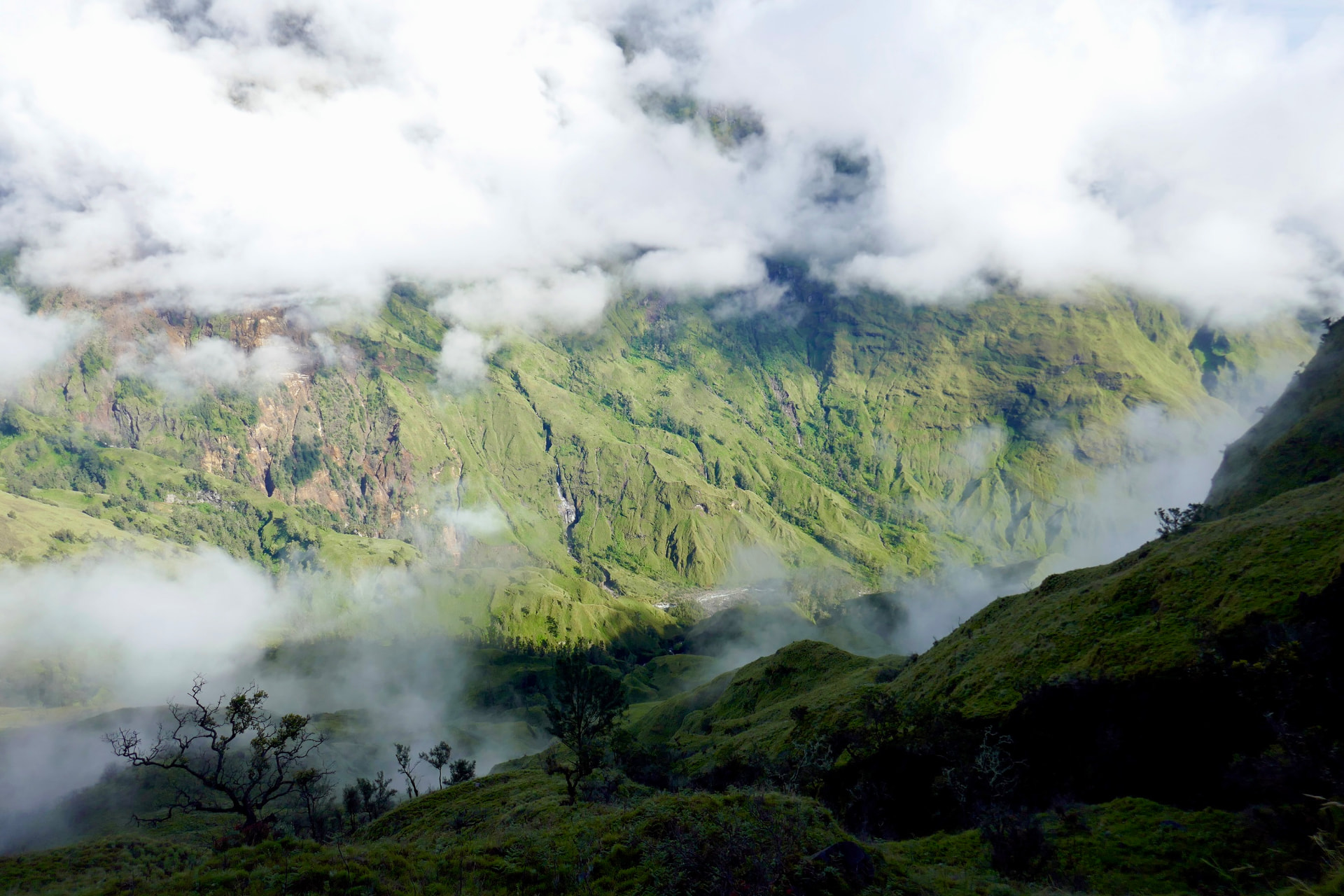 Cloud drifting through a steep green valley